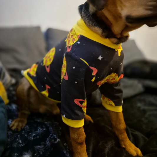 Ready to ship Pizza planet dog jumper