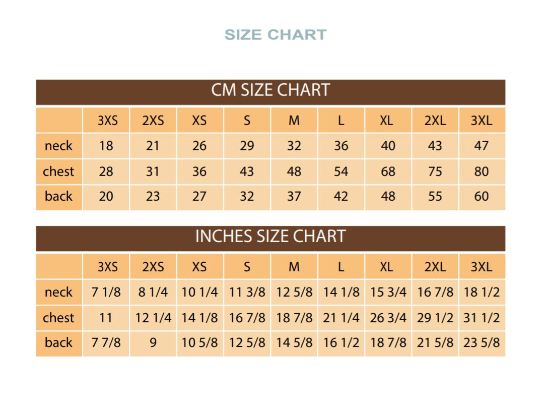 Ready to ship Pizza planet dog jumper