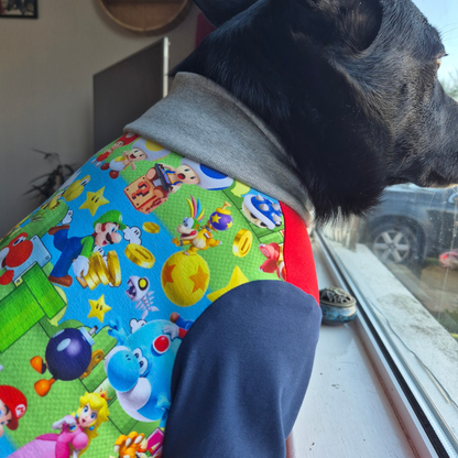 Ready to ship Mario dog jumper