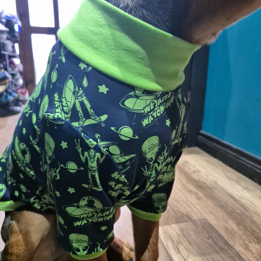 Ready to ship ET dog jumper