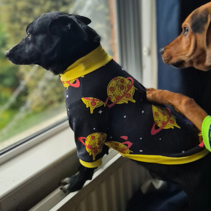 Ready to ship Pizza planet dog jumper