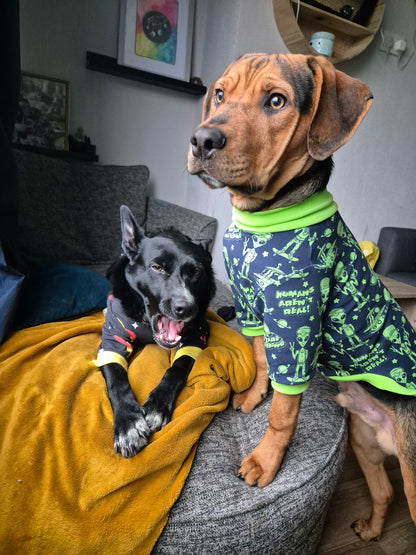 Ready to ship ET dog jumper