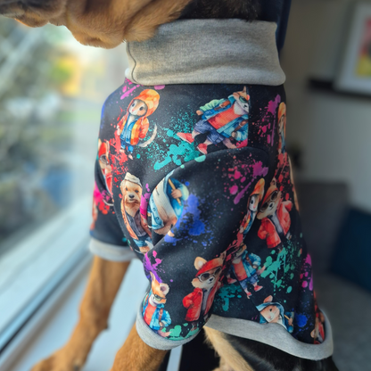 Ready to ship Hike dog jumper