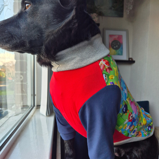 Ready to ship Mario dog jumper