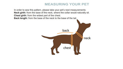 Ready to ship Hike dog jumper