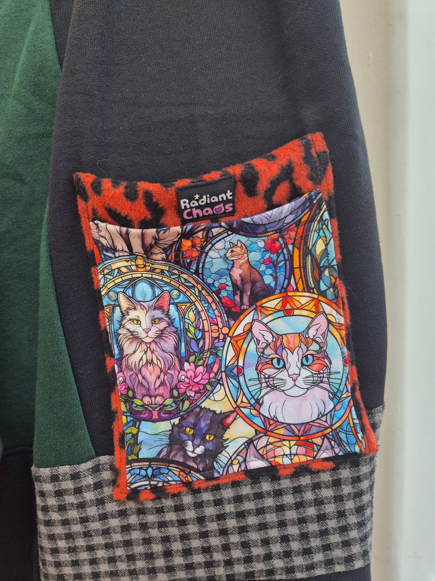 Crazy cat lady